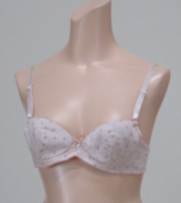 ブラジャー
