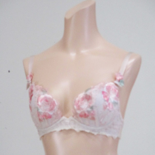 ブラジャー
