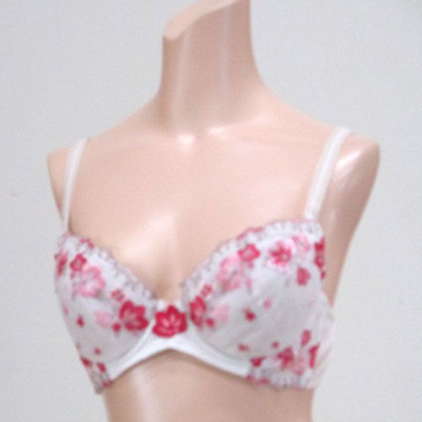 ブラジャー