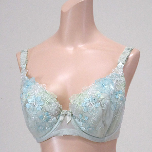 巨乳ブラジャー