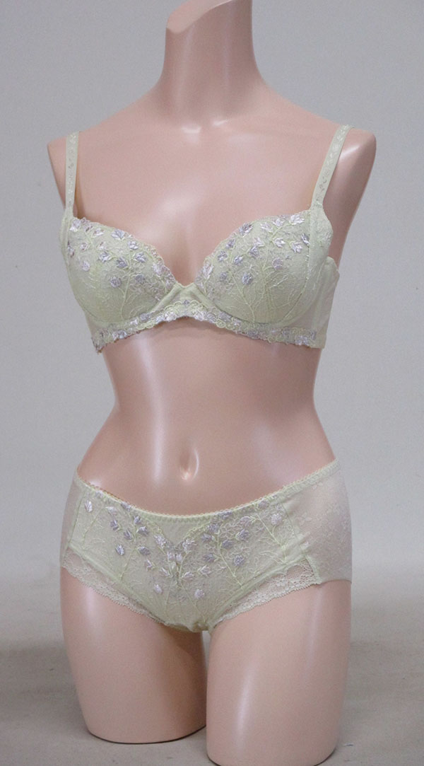 ブラジャー＋パンティー